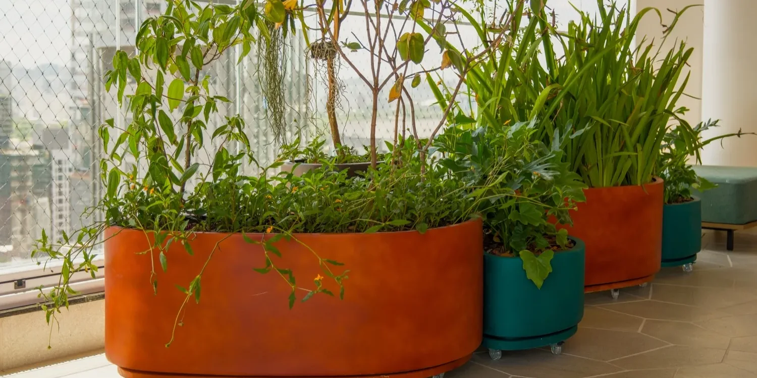Floreiras com vegetação nativa em uma varanda, com o skyline de São Paulo ao fundo