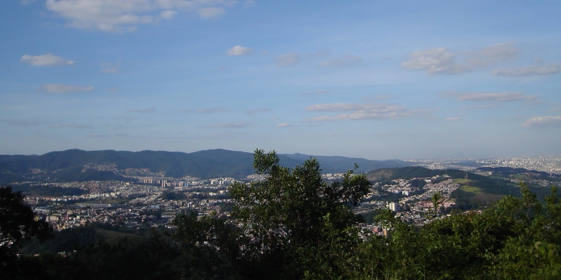 A cidade de São Paulo vista do alto de uma encosta de mata, com a vegetação em primeiro plano