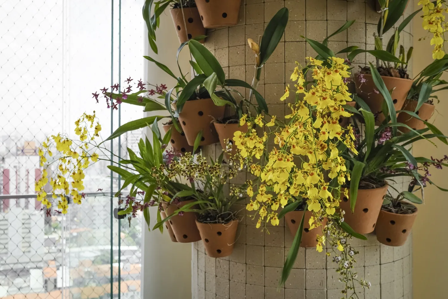 Jardim autoral projetado pela REURBE, com vegetação nativa em composição densa